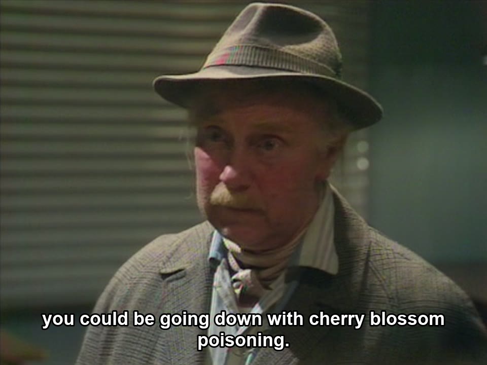 Only Fools and Horses S03E05 meme — “you could be going down with cherry blossom poisoning.”